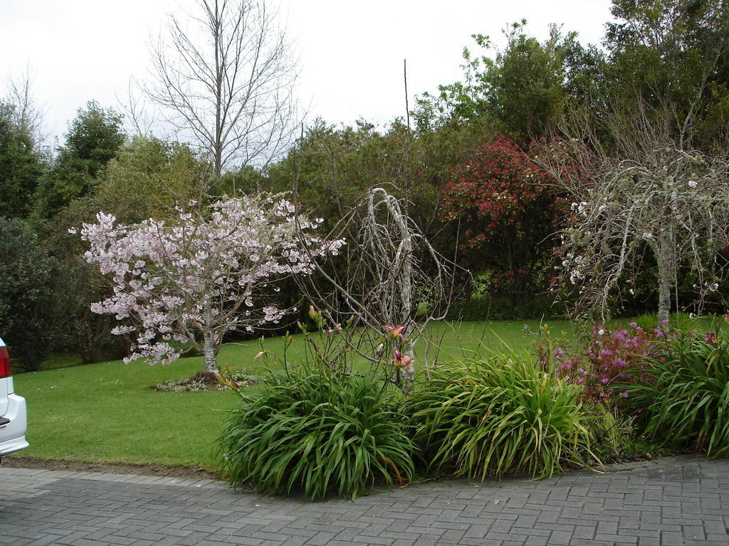 Warkworth Country House Exterior foto